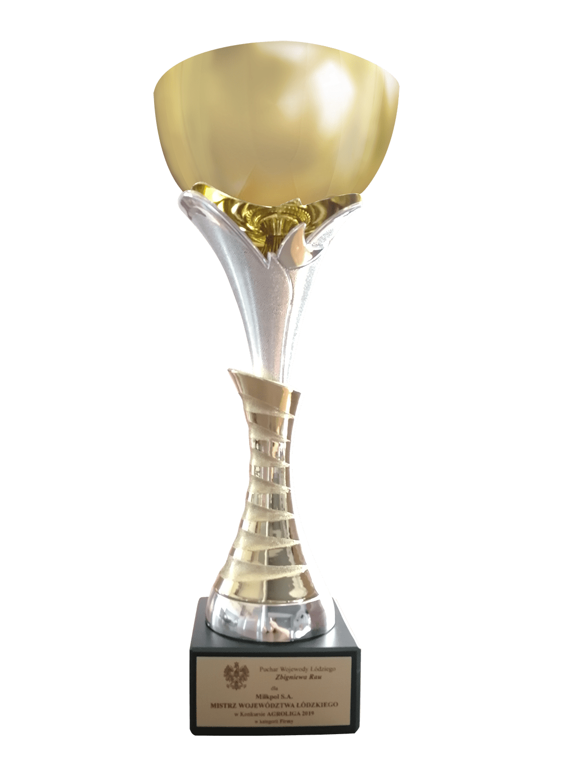 Mistrz Województwa Łódzkiego